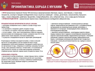 Памятка населению "Профилактика. Борьба с мухами"